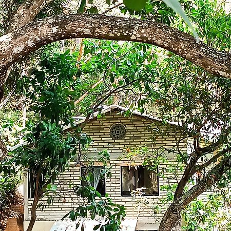 Eden Los Abuelos 2 - Casa Privada En Minca Nature Eksteriør billede