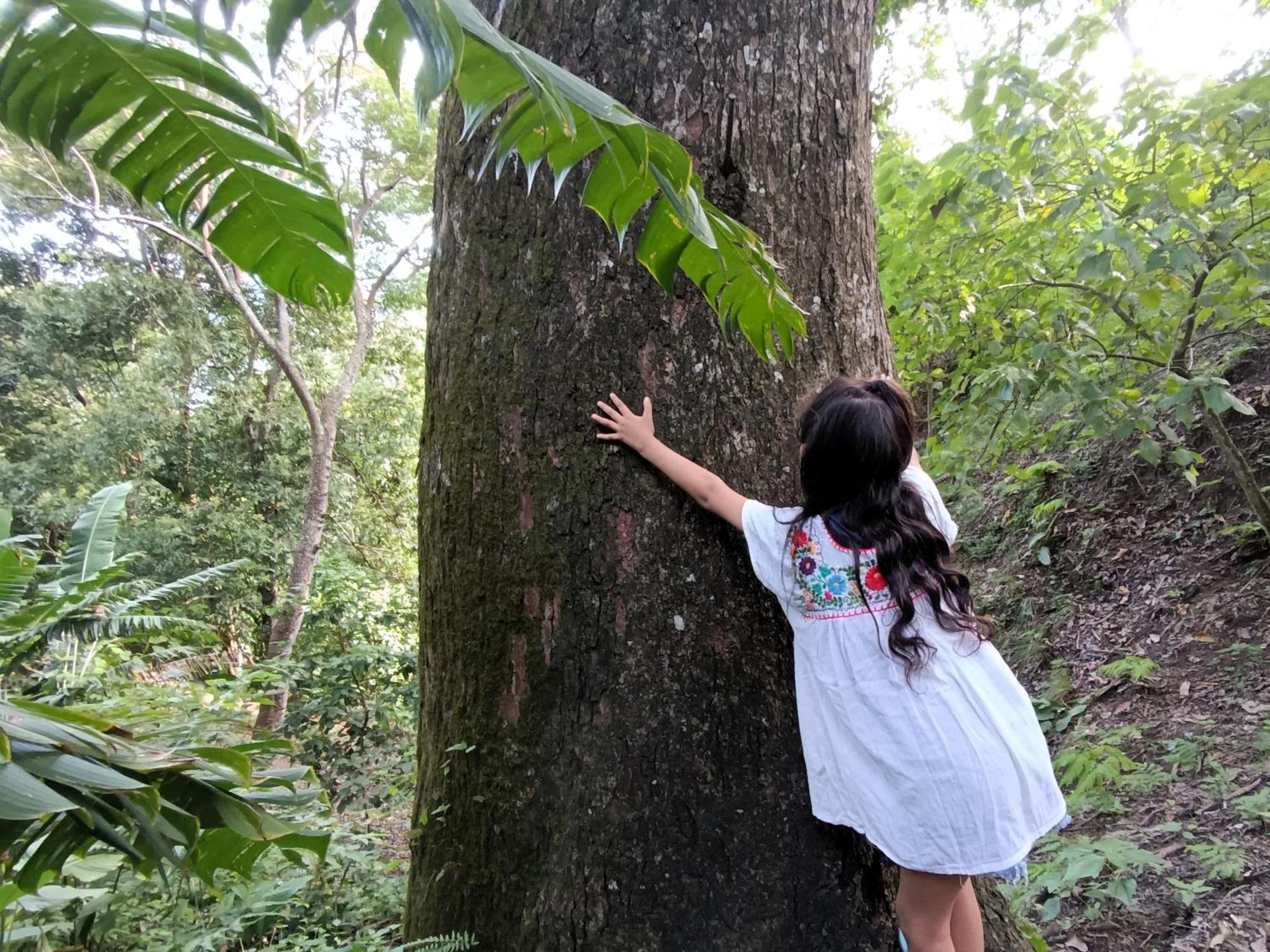 Eden Los Abuelos 2 - Casa Privada En Minca Nature Eksteriør billede