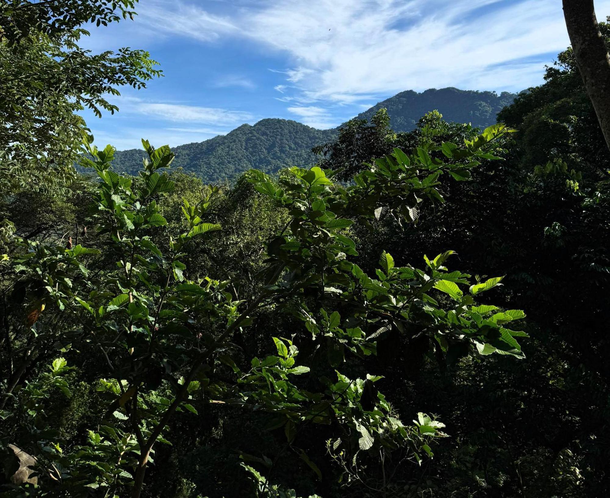 Eden Los Abuelos 2 - Casa Privada En Minca Nature Eksteriør billede